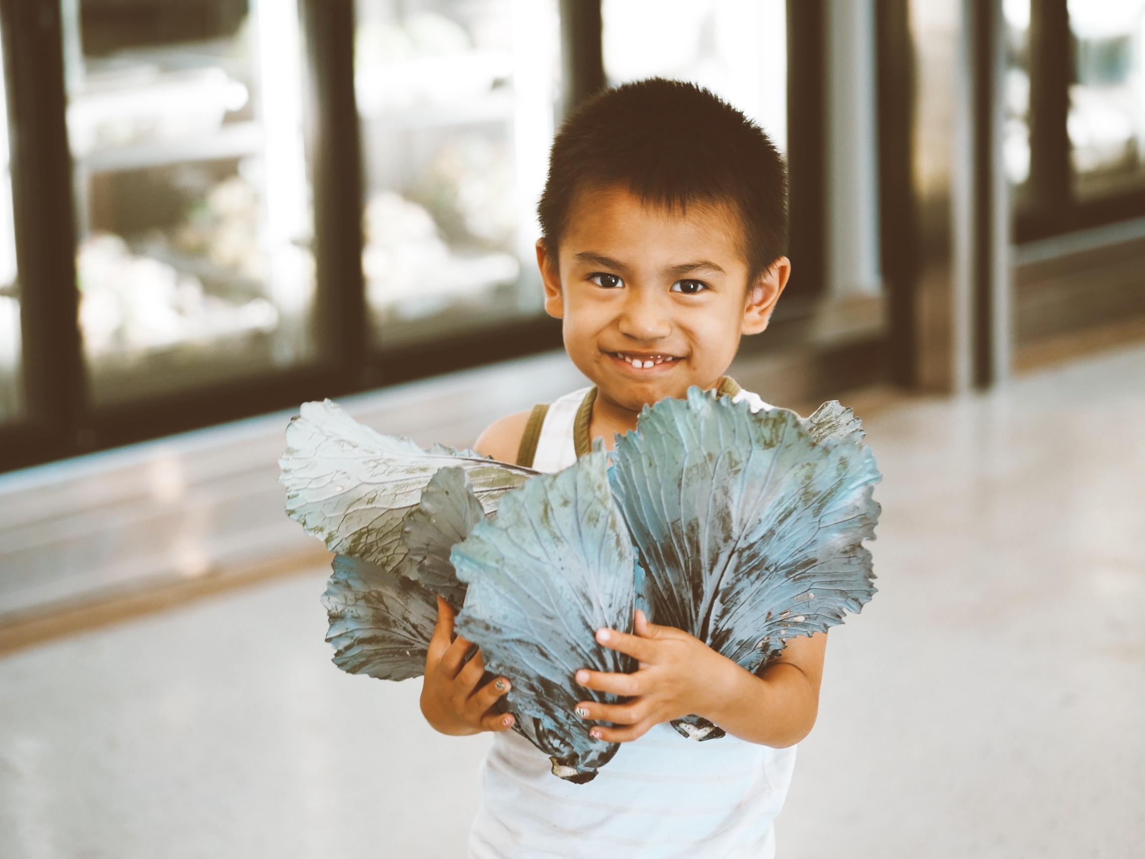 Smiling boy holds armfuls of cabbage.